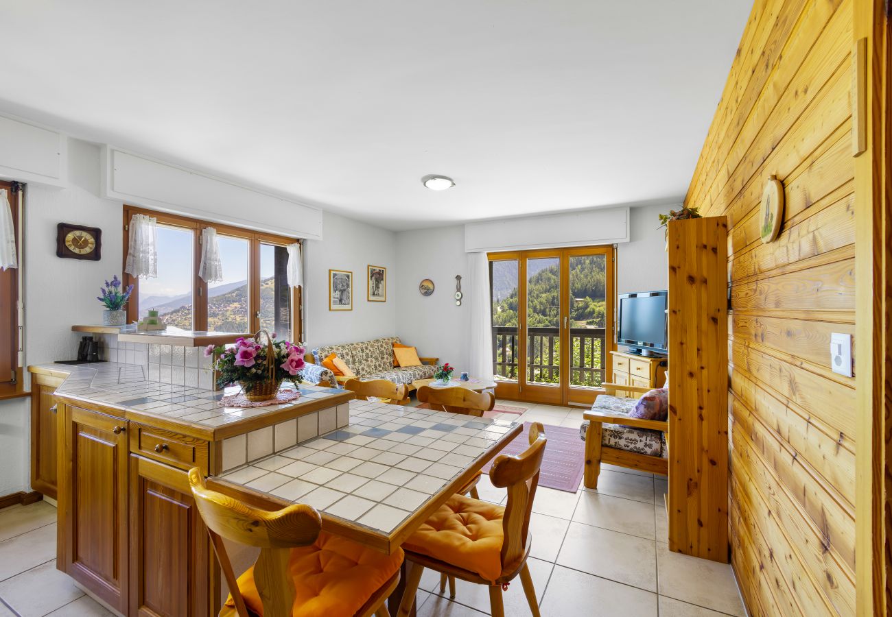 Ferienwohnung in Haute-Nendaz - Praplan 13 - *Loué*