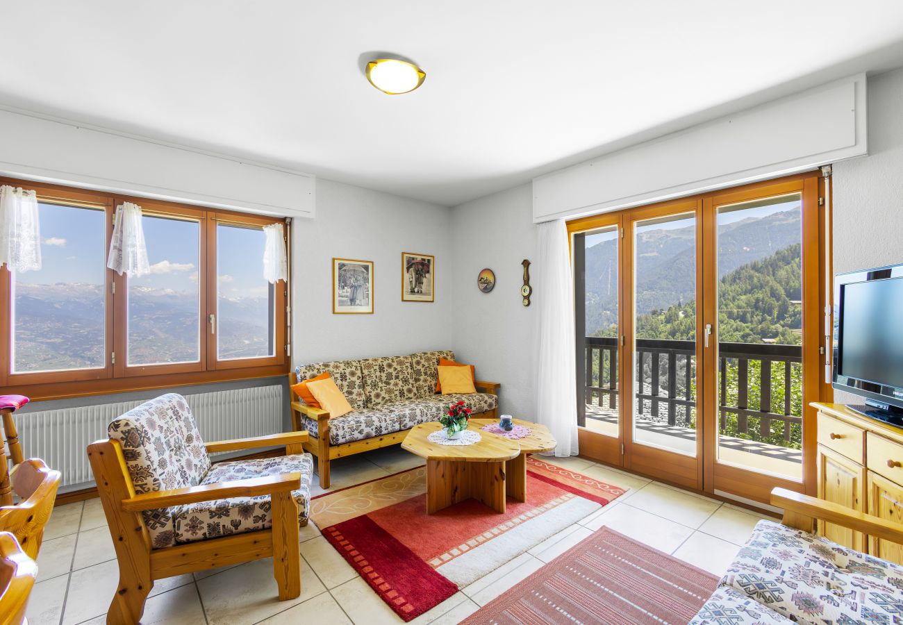 Ferienwohnung in Haute-Nendaz - Praplan 13 - *Loué*