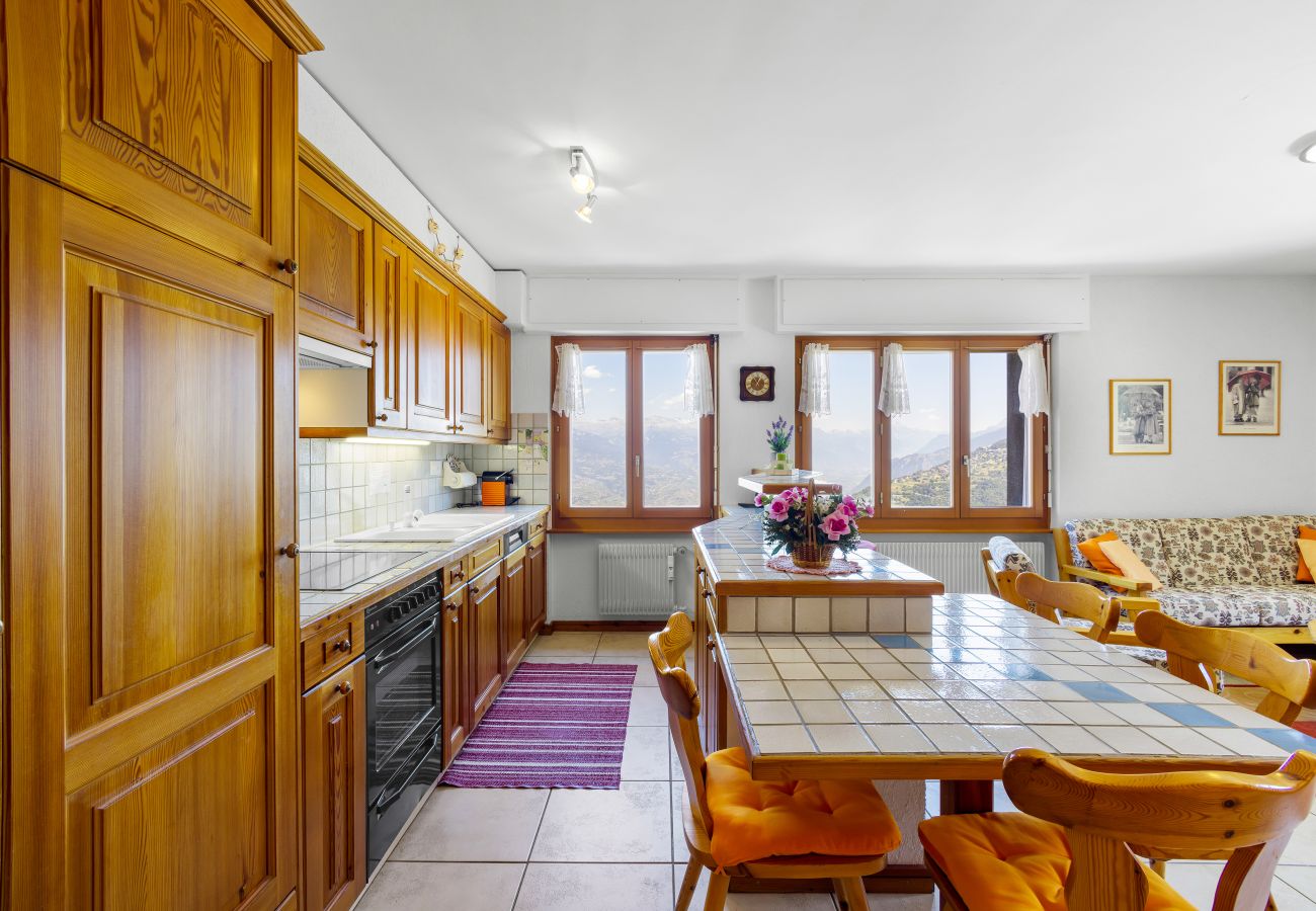 Ferienwohnung in Haute-Nendaz - Praplan 13 - *Loué*