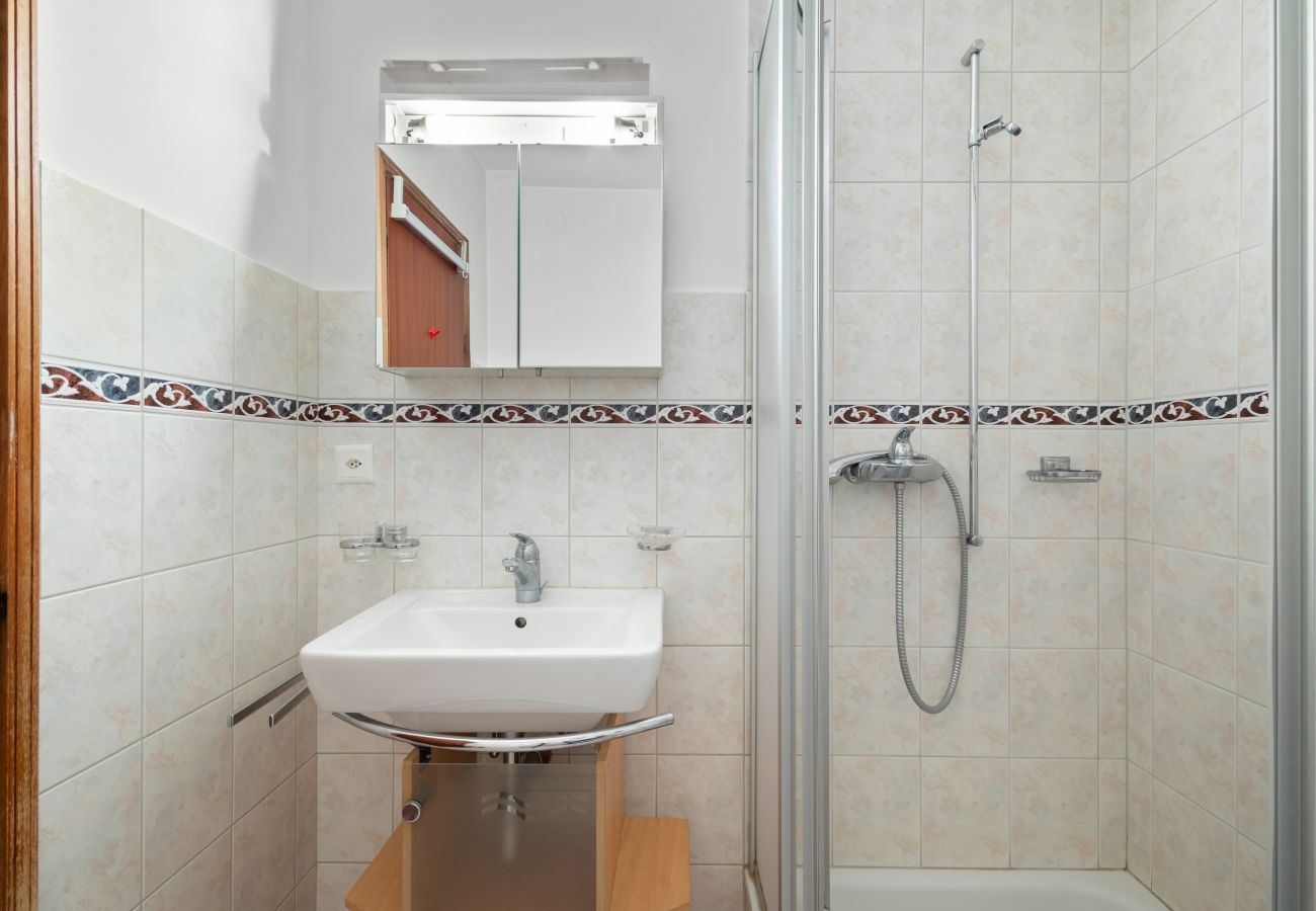 Ferienwohnung in Haute-Nendaz - Praplan 15 - *Non disponible*