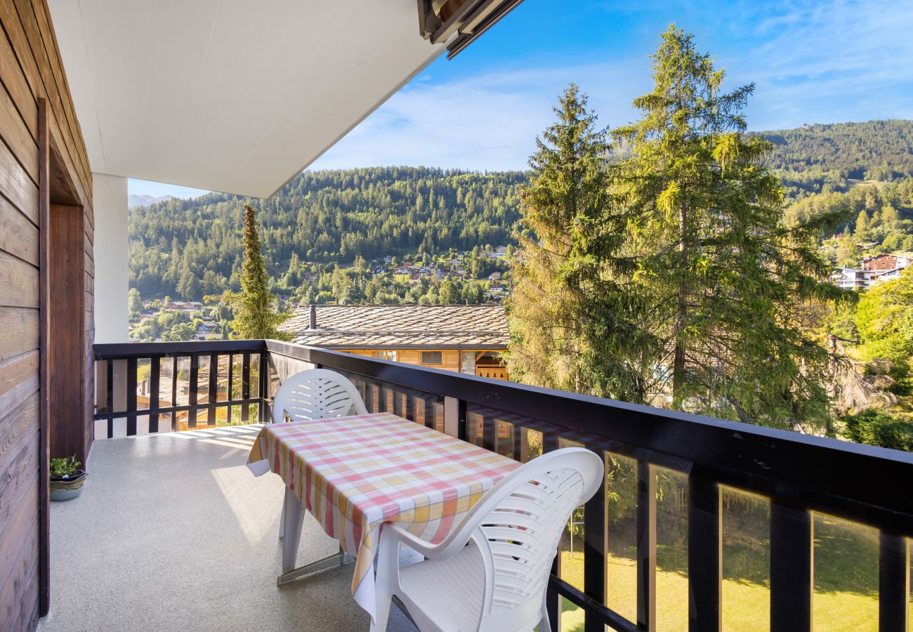 Ferienwohnung in Haute-Nendaz - Praplan 15 - *Non disponible*