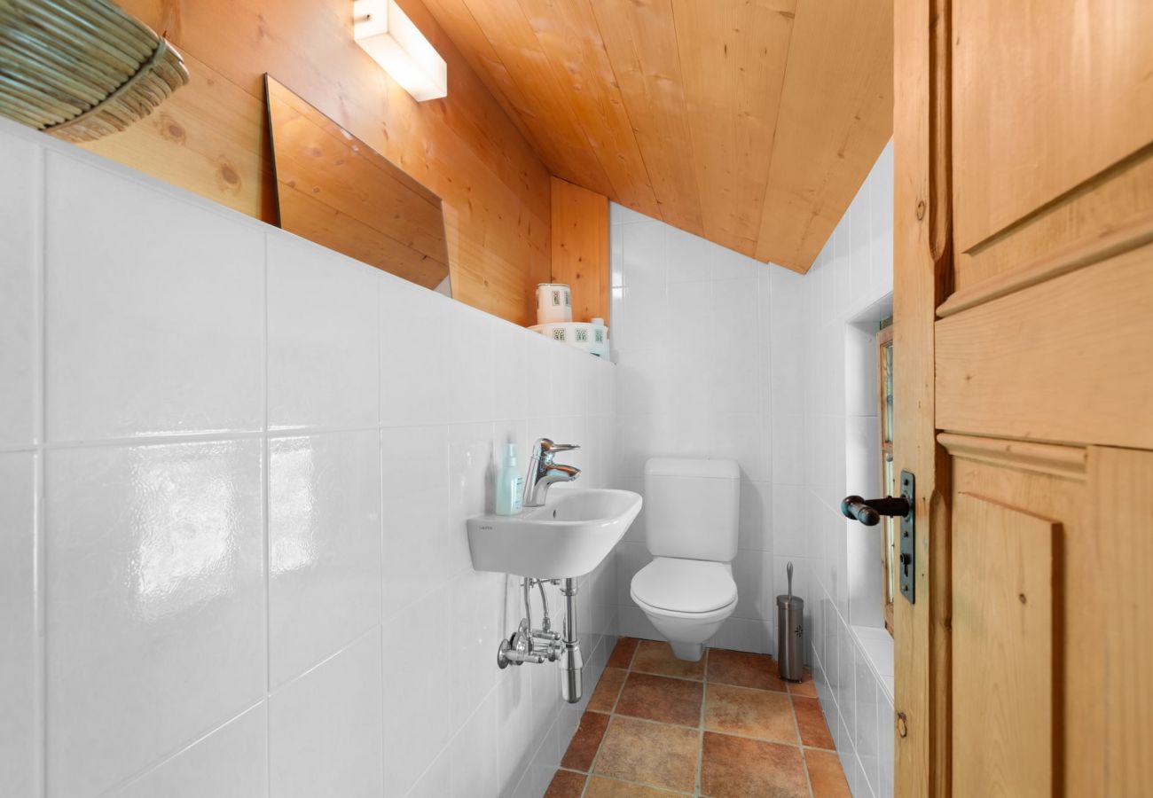 Chalet in Haute-Nendaz - Chalet Mont-Fort : chalet typique