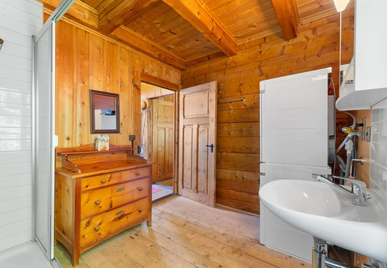 Chalet in Haute-Nendaz - Chalet Mont-Fort : chalet typique