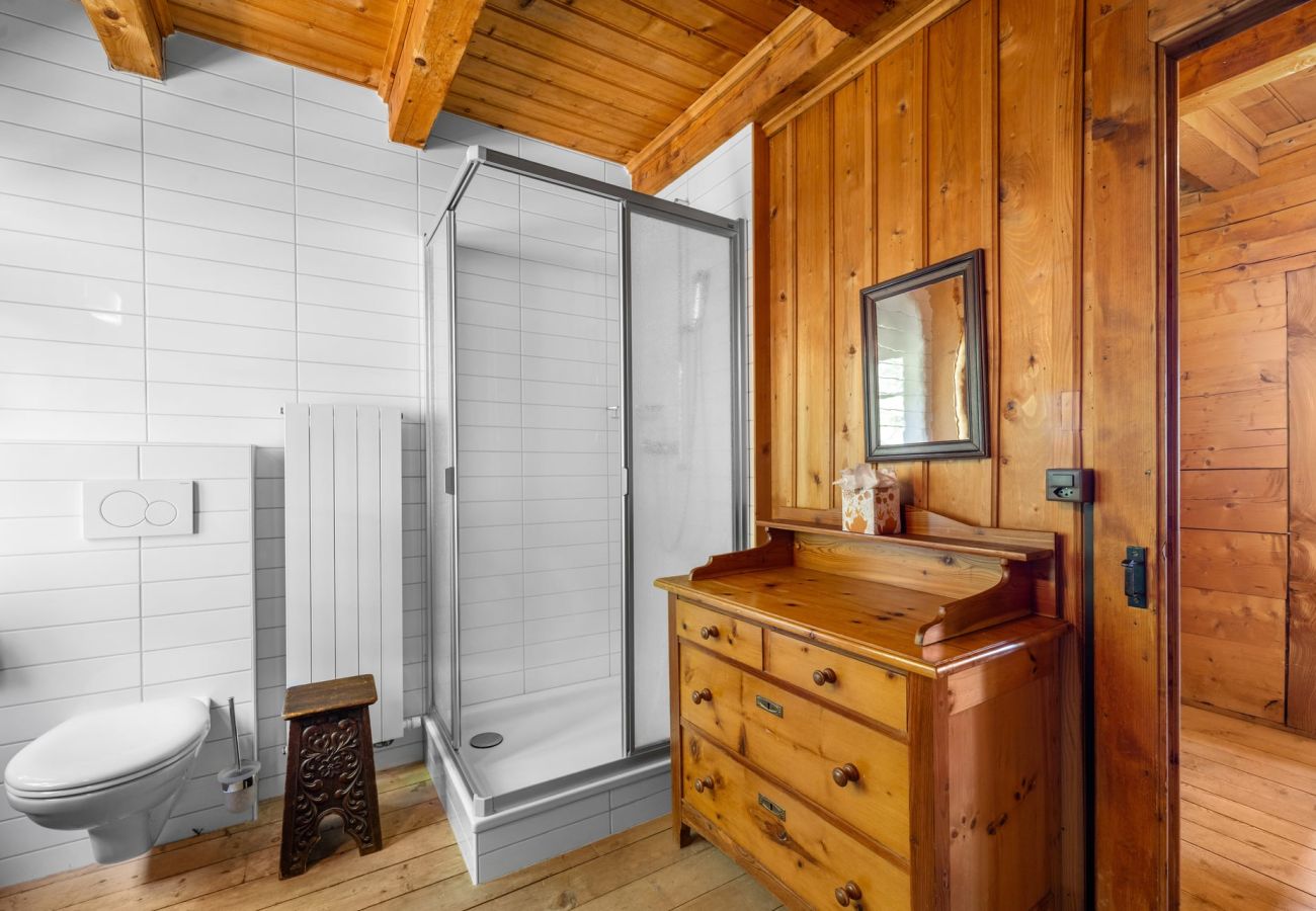 Chalet in Haute-Nendaz - Chalet Mont-Fort : chalet typique