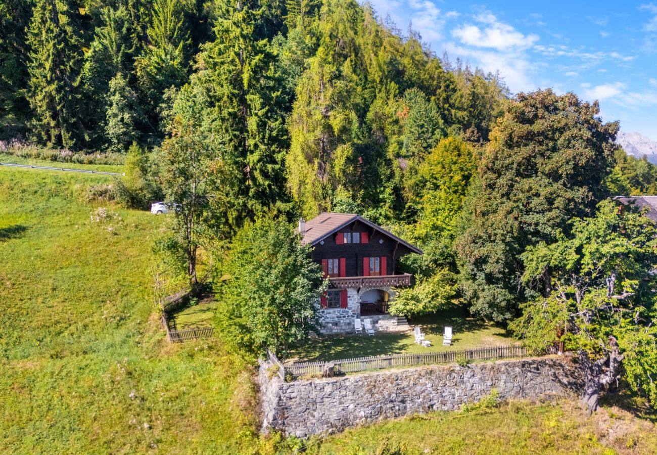 Chalet in Haute-Nendaz - Chalet Mont-Fort : chalet typique