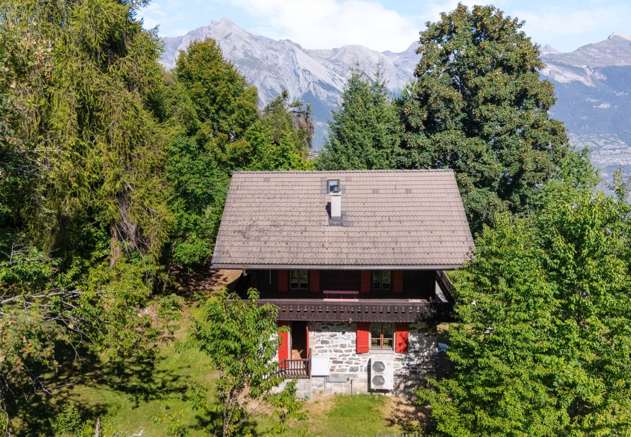 Chalet in Haute-Nendaz - Chalet Mont-Fort : chalet typique