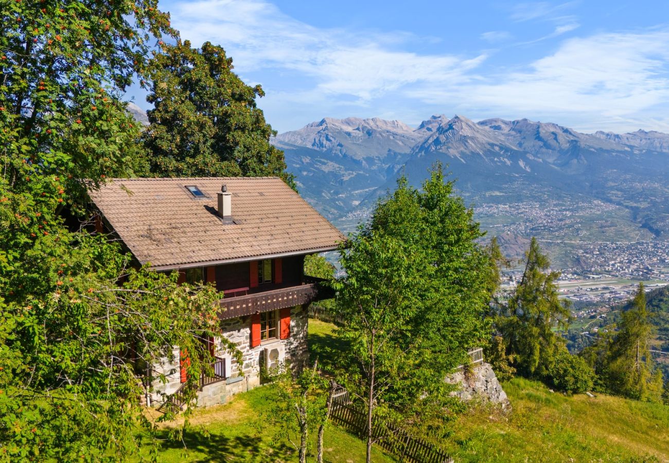 Chalet in Haute-Nendaz - Chalet Mont-Fort : chalet typique