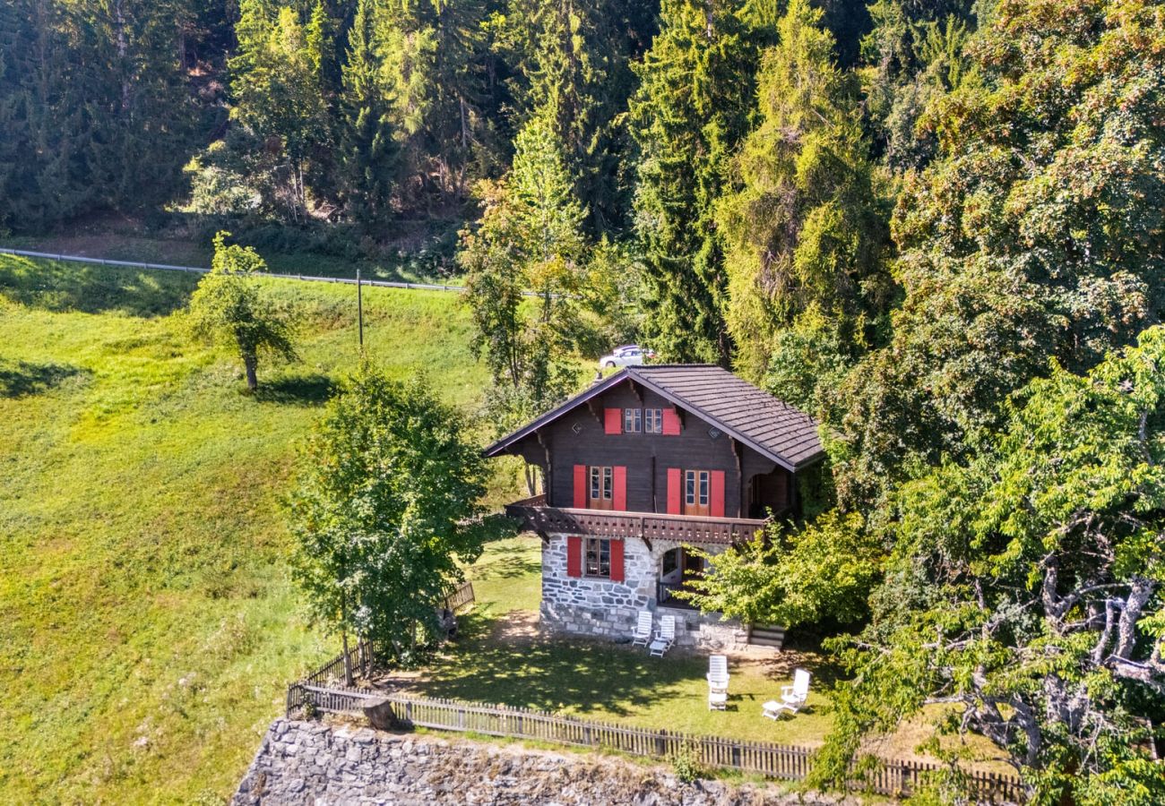 Chalet in Haute-Nendaz - Chalet Mont-Fort : chalet typique