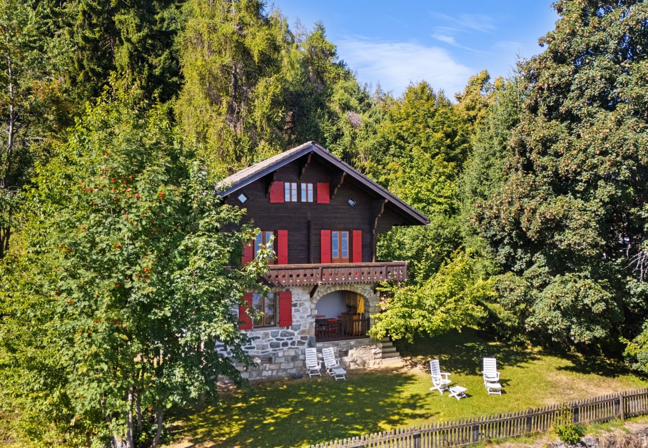 Chalet in Haute-Nendaz - Chalet Mont-Fort : chalet typique