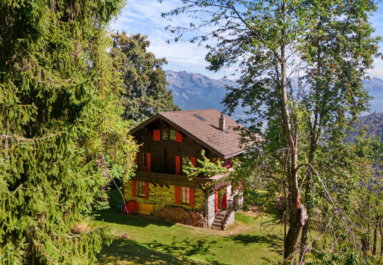 Chalet in Haute-Nendaz - Chalet Mont-Fort : chalet typique