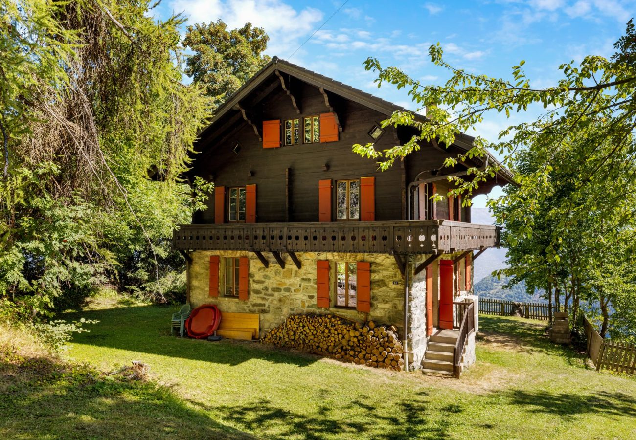 Chalet in Haute-Nendaz - Chalet Mont-Fort : chalet typique