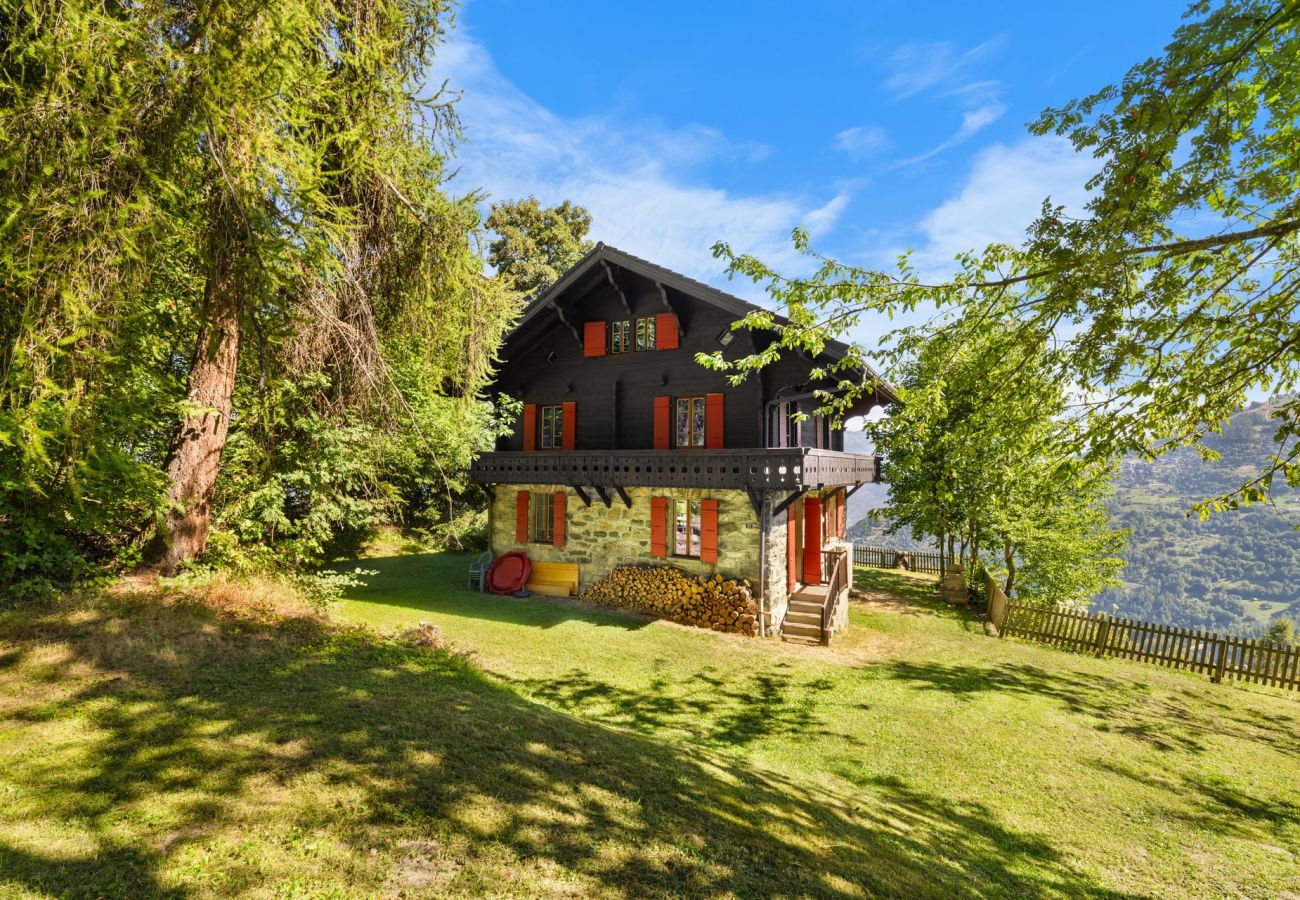 Chalet in Haute-Nendaz - Chalet Mont-Fort : chalet typique