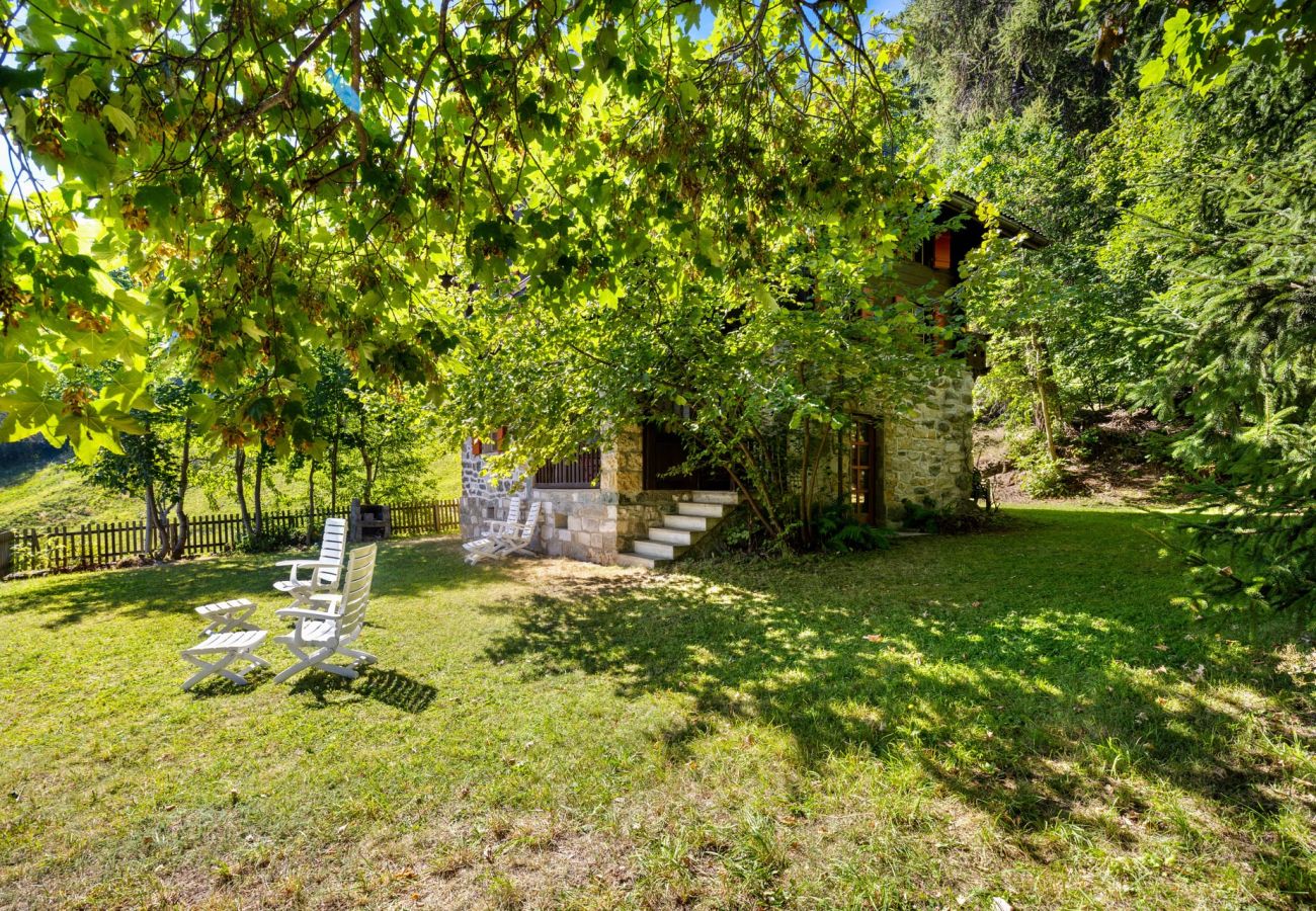 Chalet in Haute-Nendaz - Chalet Mont-Fort : chalet typique