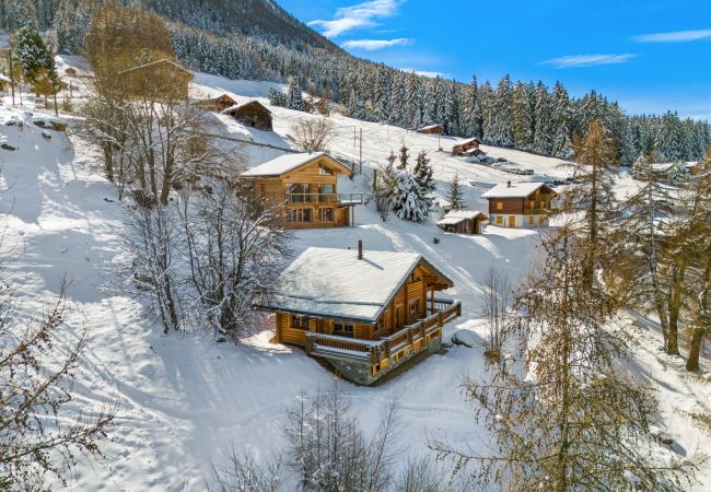 Chalet in Haute-Nendaz - AlpenRose - 8 pers - près des pistes Chalet in Haute-Nendaz - AlpenRose - 8 pers - près des pistes