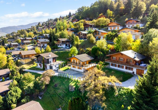 Chalet in Haute-Nendaz - Silverfox - 6 pers - belle vue Chalet in Haute-Nendaz - Silverfox - 6 pers - belle vue