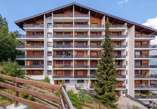 Ferienwohnung in Haute-Nendaz - Chaëdoz 55 - 6 pers - au calme