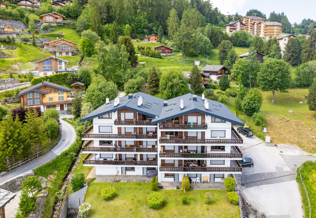 Ferienwohnung in Haute-Nendaz - Alexandra 9 - 2 pers - vue magnifique