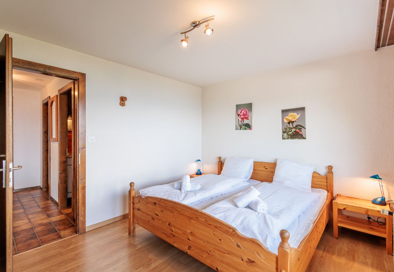 Ferienwohnung in Haute-Nendaz - Alexandra 9 - 2 pers - vue magnifique