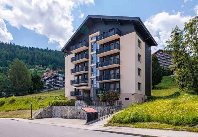 Haute-Nendaz - Ferienwohnung