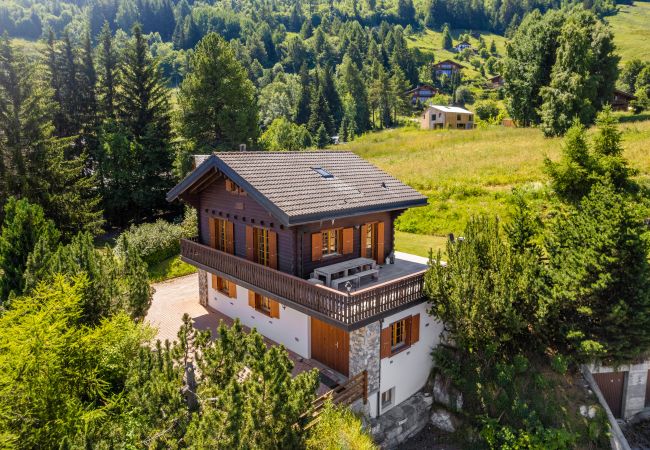 Chalet in Haute-Nendaz - Gisèle - 8 pers - près des pistes