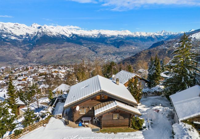 Chalet in Haute-Nendaz - Gisèle - 8 pers - près des pistes