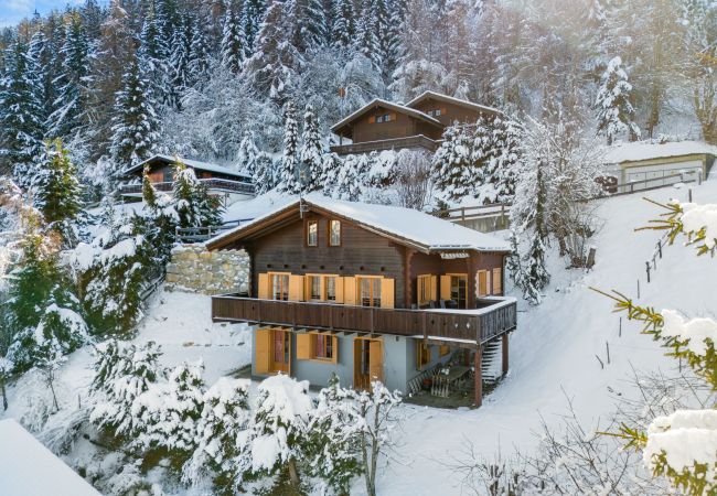 Chalet in Haute-Nendaz - Marcotte - 8 pers - belle vue Chalet in Haute-Nendaz - Marcotte - 8 pers - belle vue