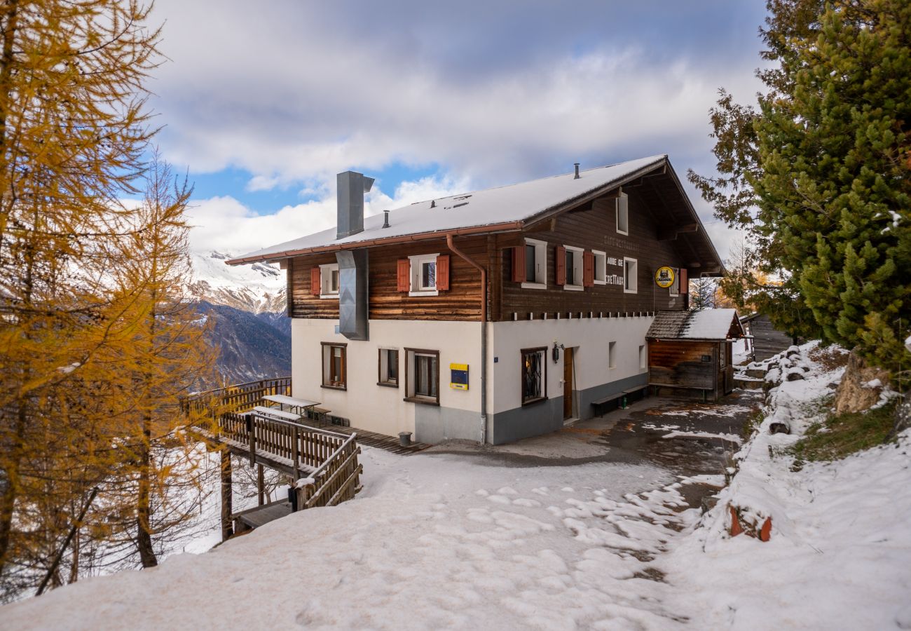 Chalet in Isérables - Les Crettaux - 12 pers - cadre idyllique