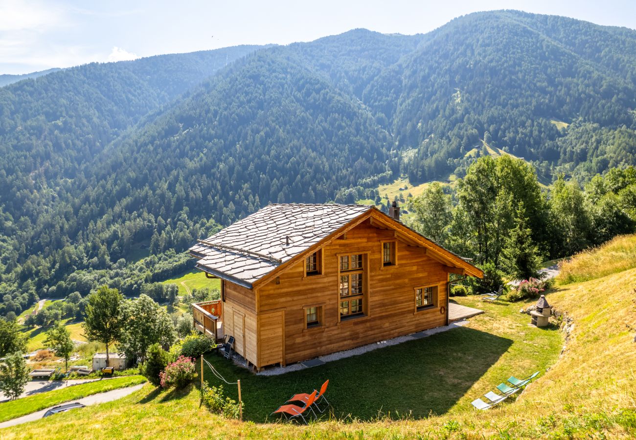Chalet in Saclentz - Chopicalqui - 14 pers - sauna