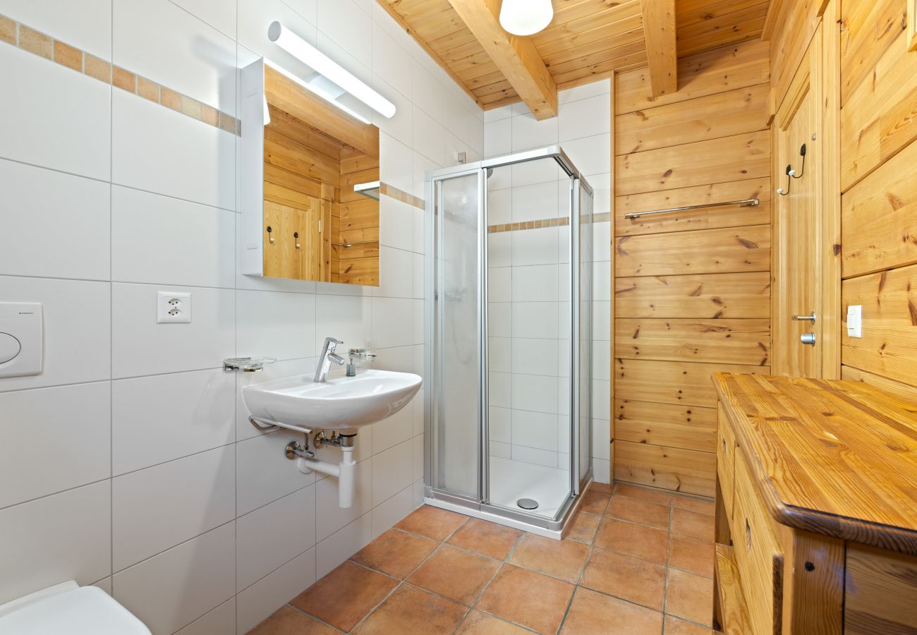 Chalet in Saclentz - Chopicalqui - 14 pers - sauna