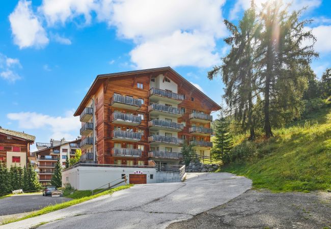 Haute-Nendaz - Ferienwohnung