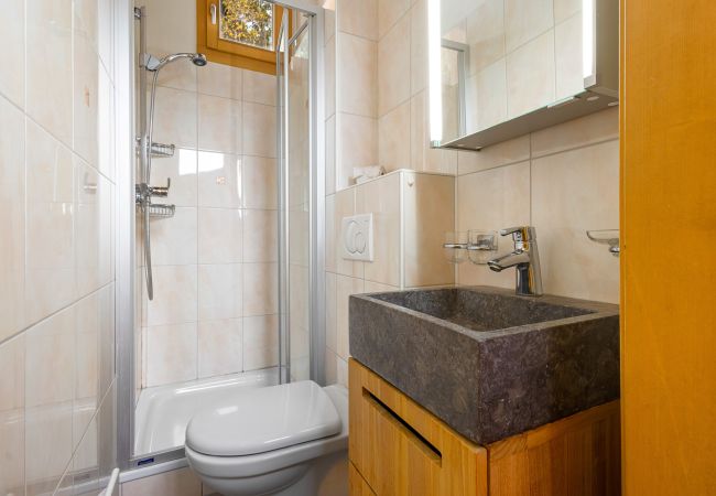 Chalet in Haute-Nendaz - Marella - 8 pers - jacuzzi Chalet in Haute-Nendaz - Marella - 8 pers - jacuzzi