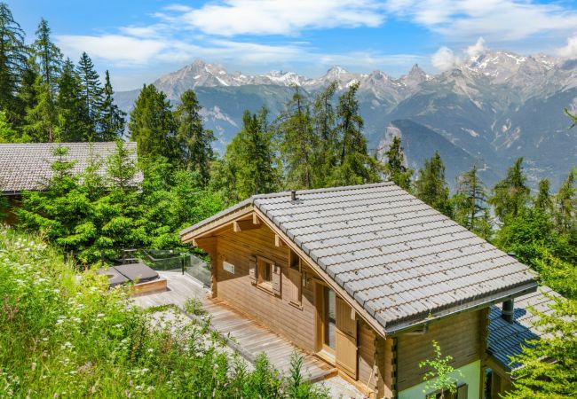 Chalet in Haute-Nendaz - Marella - 8 pers - jacuzzi Chalet in Haute-Nendaz - Marella - 8 pers - jacuzzi