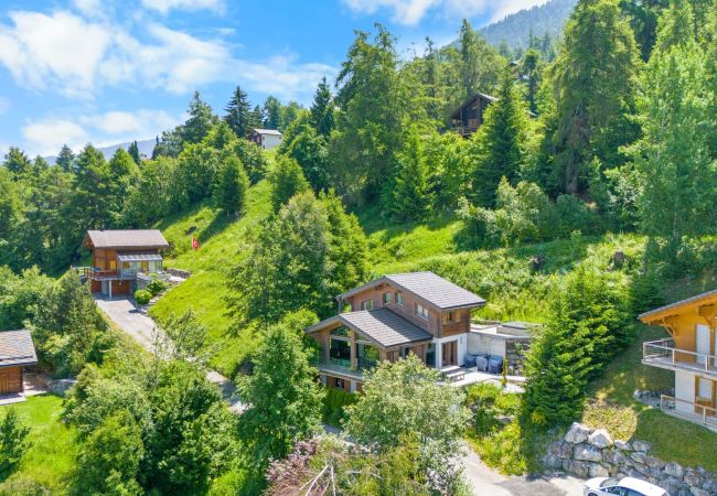 Chalet in Haute-Nendaz - Marella - 8 pers - jacuzzi Chalet in Haute-Nendaz - Marella - 8 pers - jacuzzi