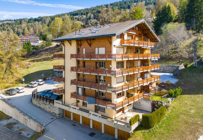 Haute-Nendaz - Ferienwohnung