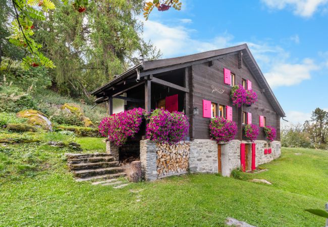 Chalet in Haute-Nendaz - Chalet Laetitia - 8 pers - charme et authenticité