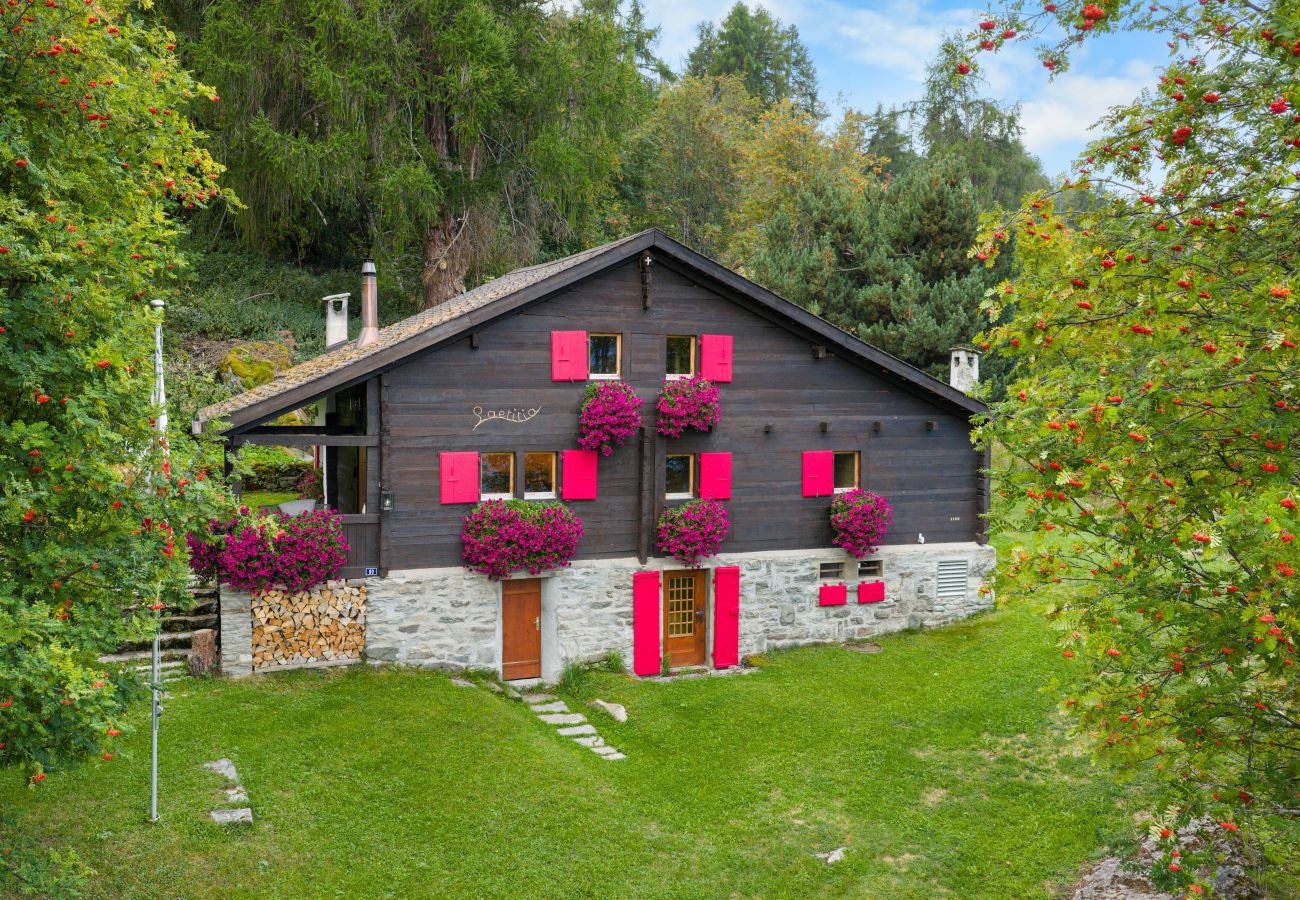 Chalet in Haute-Nendaz - Chalet Laetitia - 8 pers - charme et authenticité