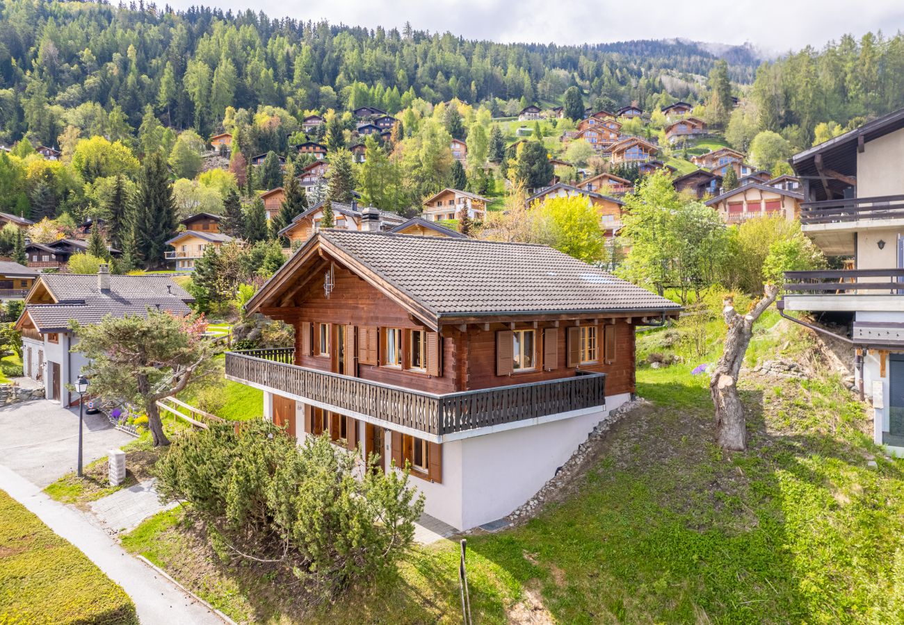 Chalet in Haute-Nendaz - Clair-Val - LOUE
