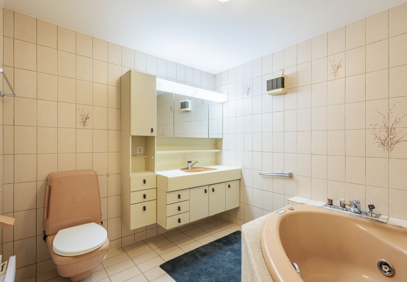 Chalet in Haute-Nendaz - Clair-Val - LOUE