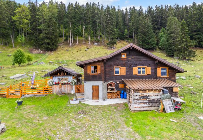 Haute-Nendaz - Chalet