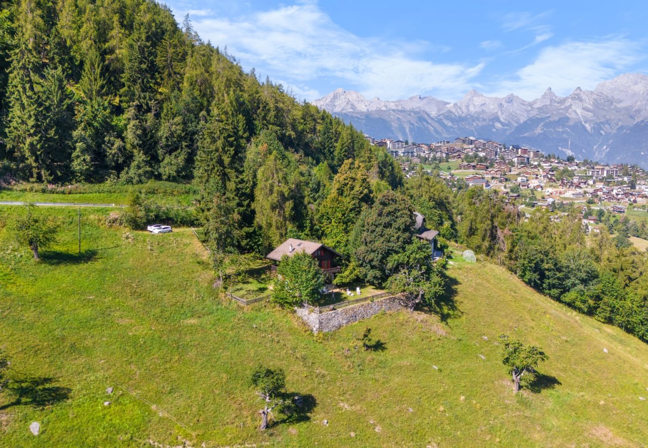Chalet in Haute-Nendaz - Chalet Mont-Fort : chalet typique