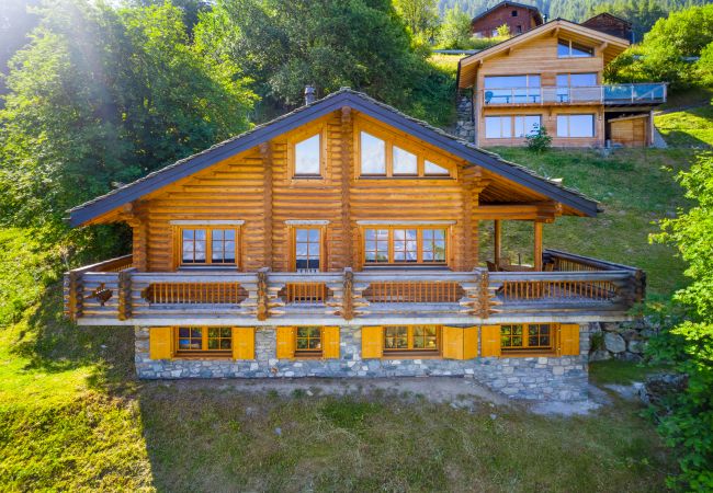 Villa in Haute-Nendaz - AlpenRose - 8 pers - près des pistes