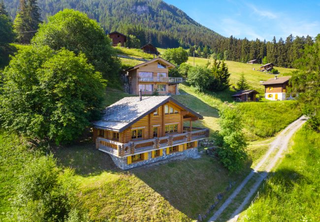 Chalet in Haute-Nendaz - AlpenRose - 8 pers - près des pistes