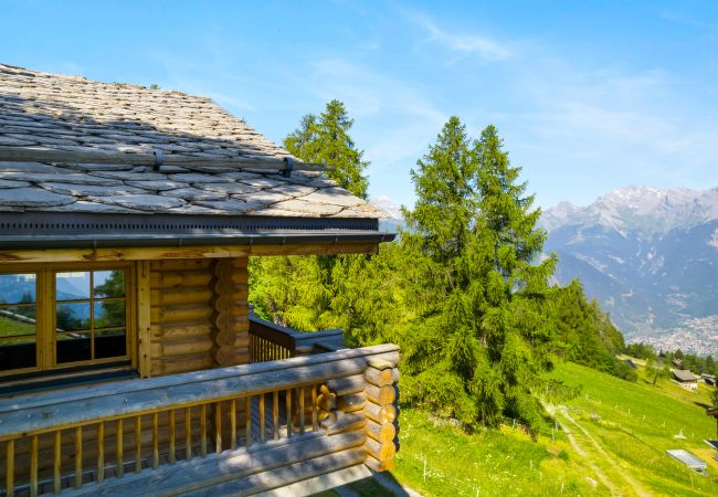 Chalet in Haute-Nendaz - AlpenRose - 8 pers - près des pistes