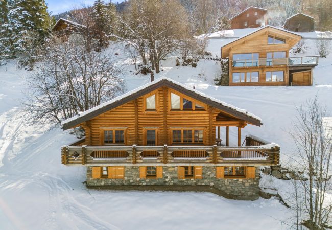 Chalet in Haute-Nendaz - AlpenRose - 8 pers - près des pistes