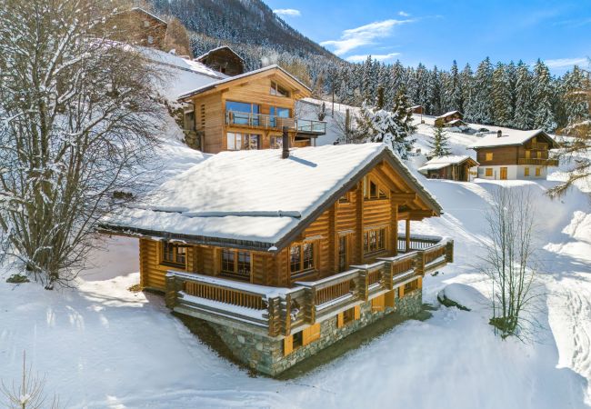 Chalet in Haute-Nendaz - AlpenRose - 8 pers - près des pistes