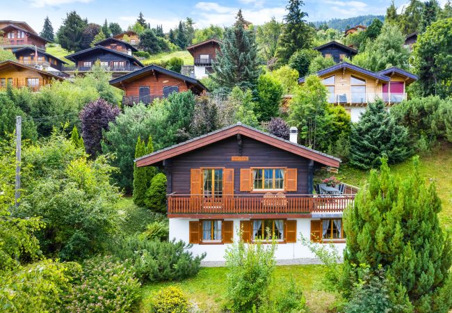 Chalet in Haute-Nendaz - Darjean - 8 pers - belle vue