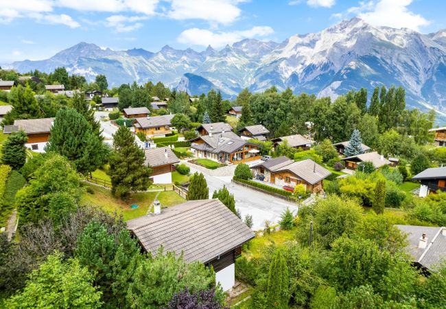 Chalet in Haute-Nendaz - Darjean - 8 pers - belle vue