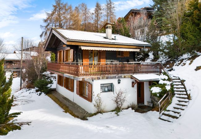 Chalet in Haute-Nendaz - Darjean - 8 pers - belle vue