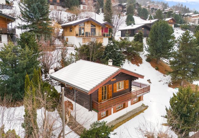 Chalet in Haute-Nendaz - Darjean - 8 pers - belle vue