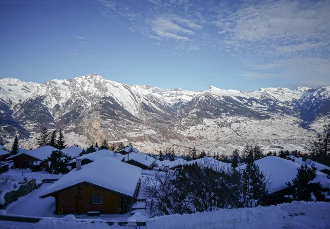 Beautifully renovated chalet in a quiet area of Haute-Nendaz